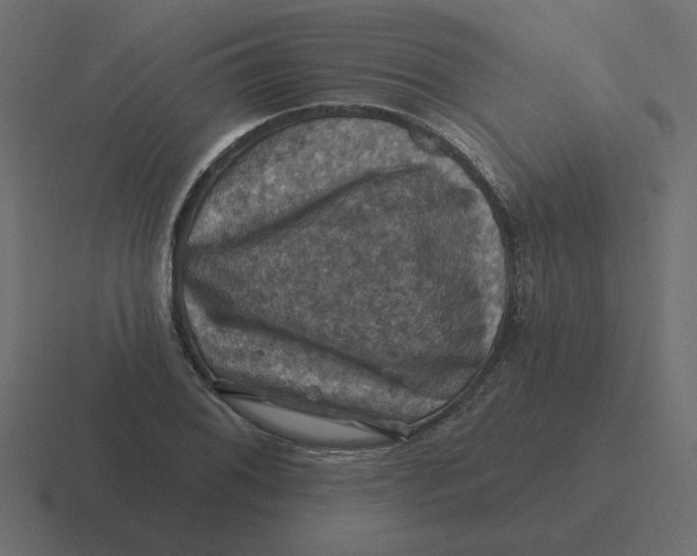 X0000116491076200912292101