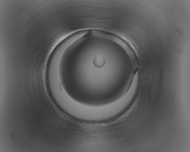 X0000116491077200912292101