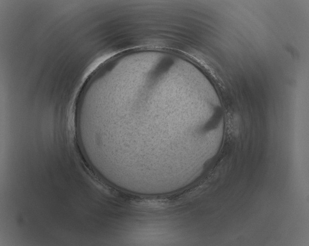 X0000116491078200912292101