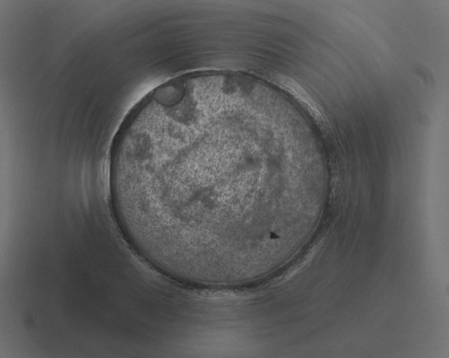 X0000116491079200912292101