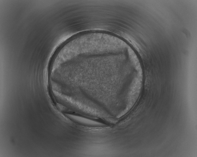 X0000116491080200912292101