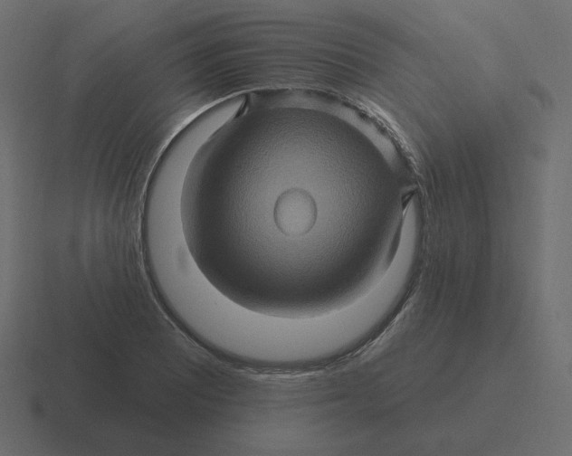 X0000116491081200912292101