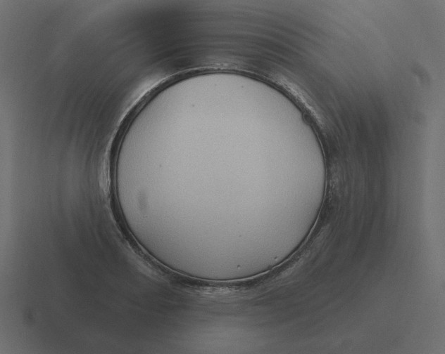 X0000116491082200912292101