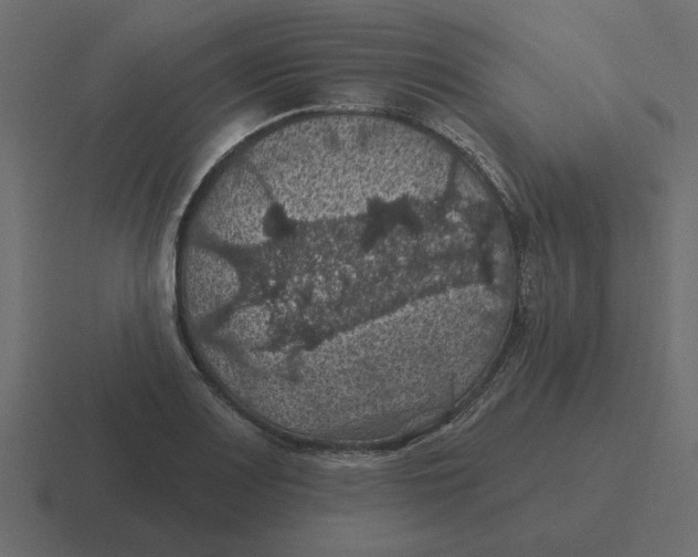 X0000116491083200912292101