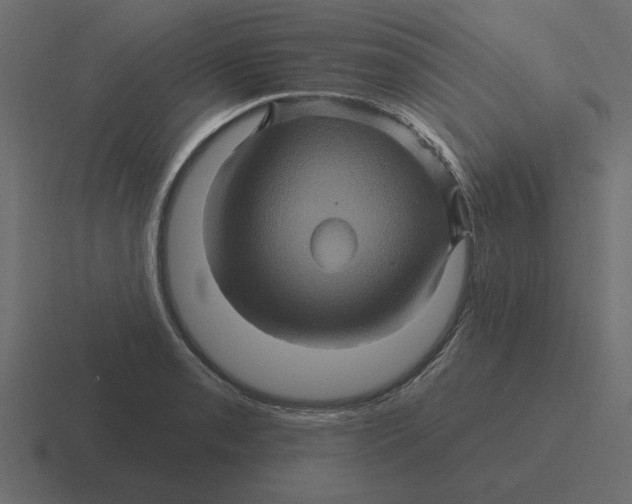 X0000116491085200912292101