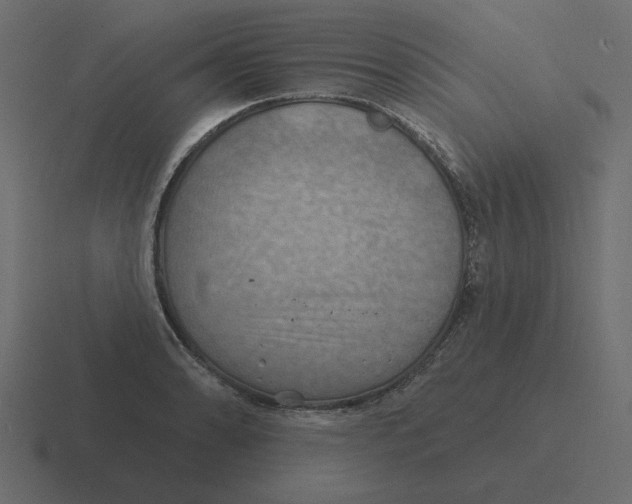 X0000116491086200912292101