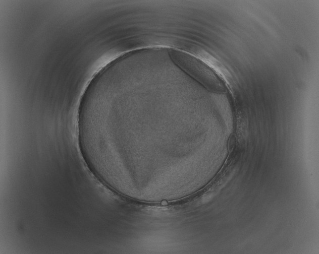 X0000116491088200912292101