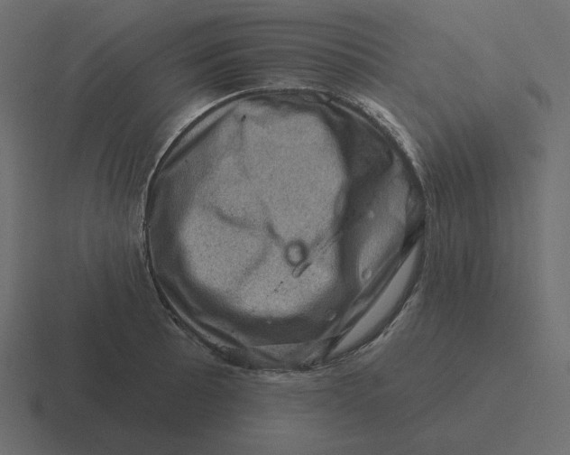 X0000116491089200912292101