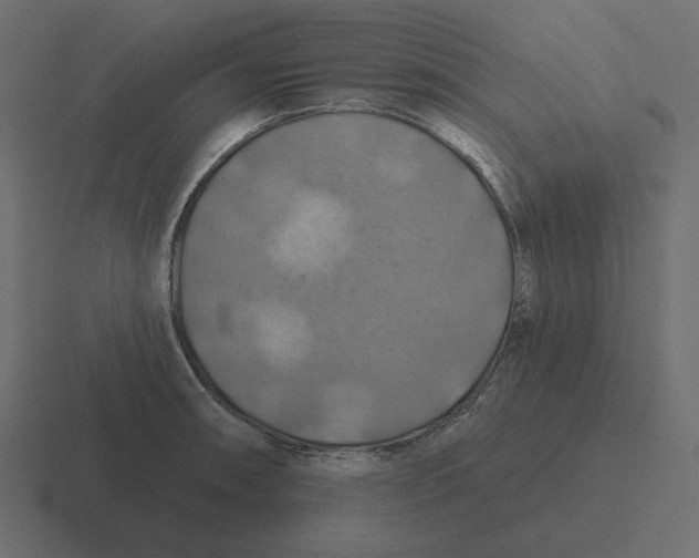 X0000116491090200912292101