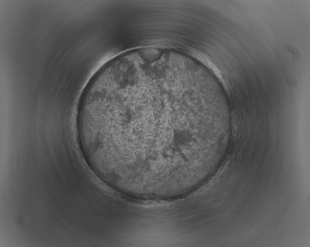 X0000116491091200912292101