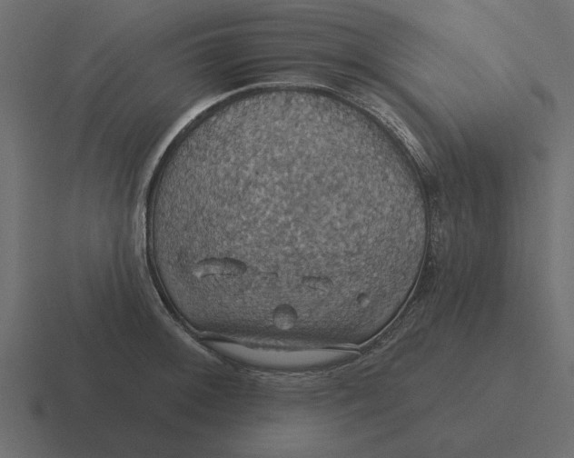 X0000116491092200912292101