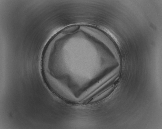 X0000116491093200912292101