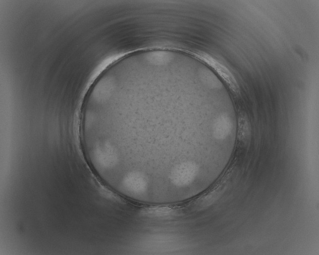 X0000116491094200912292101