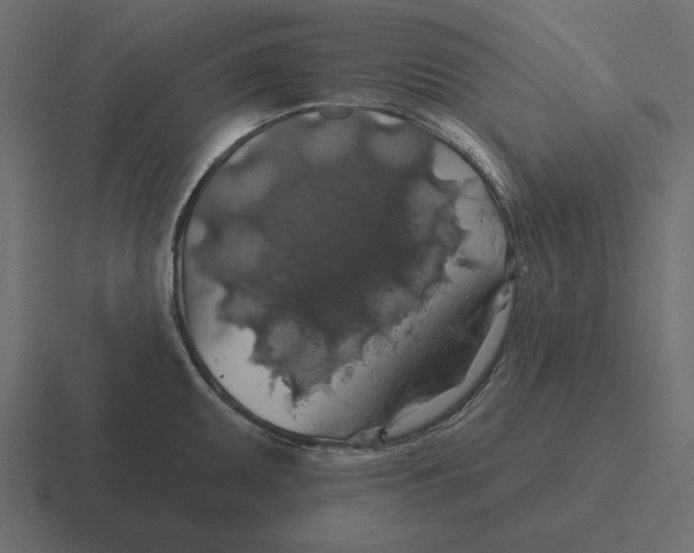 X0000116491095200912292101