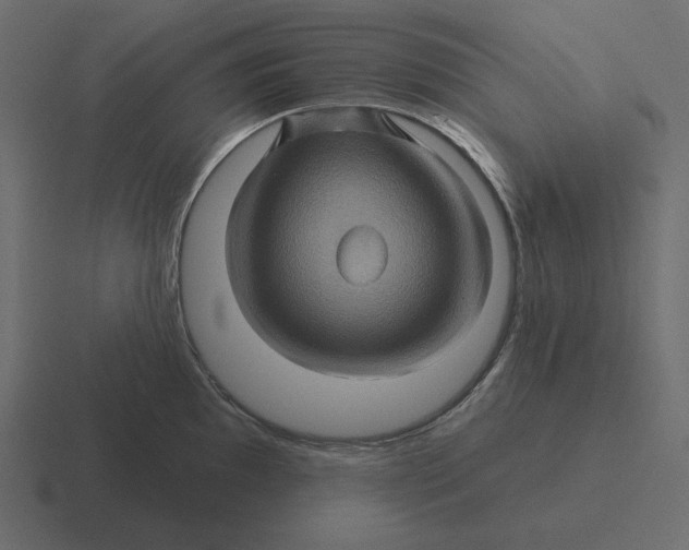 X0000116491097200912292100