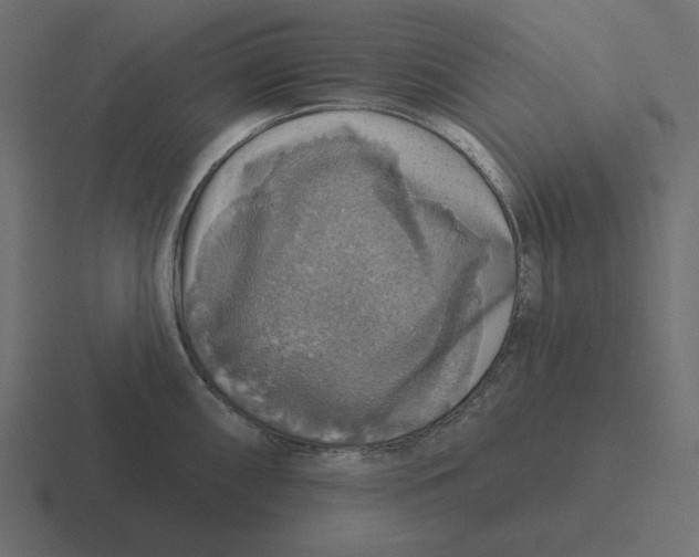 X0000116491098200912292100