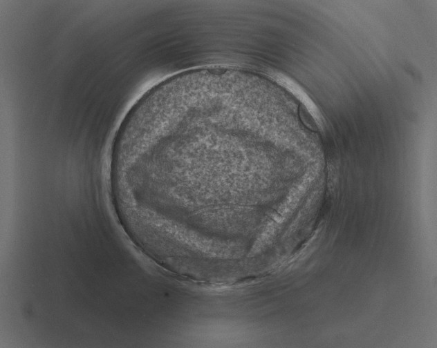 X0000116491099200912292100