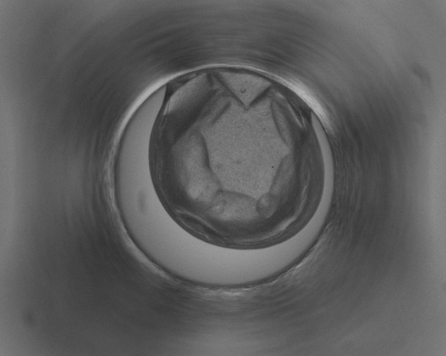 X0000116491100200912292100