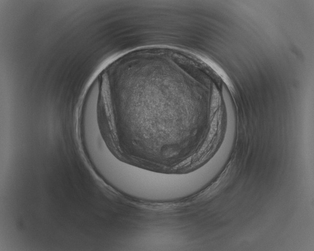 X0000116491101200912292100