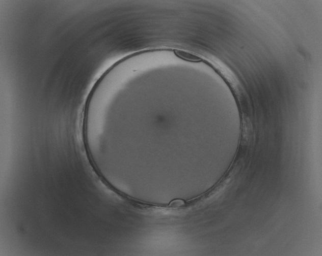 X0000116491102200912292100