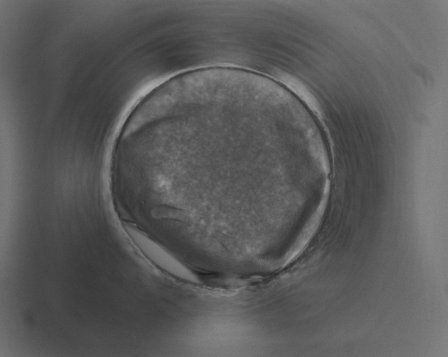 X0000116491104200912292100