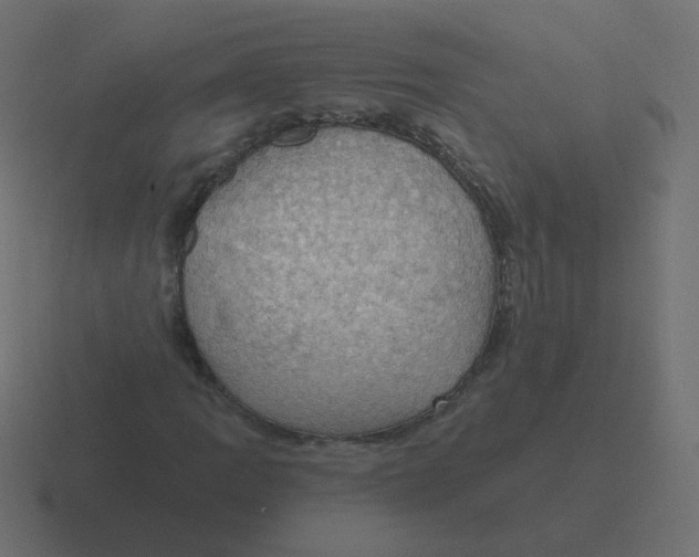 X0000116491109200912292100