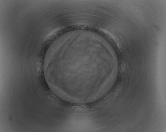 X0000116491110200912292100