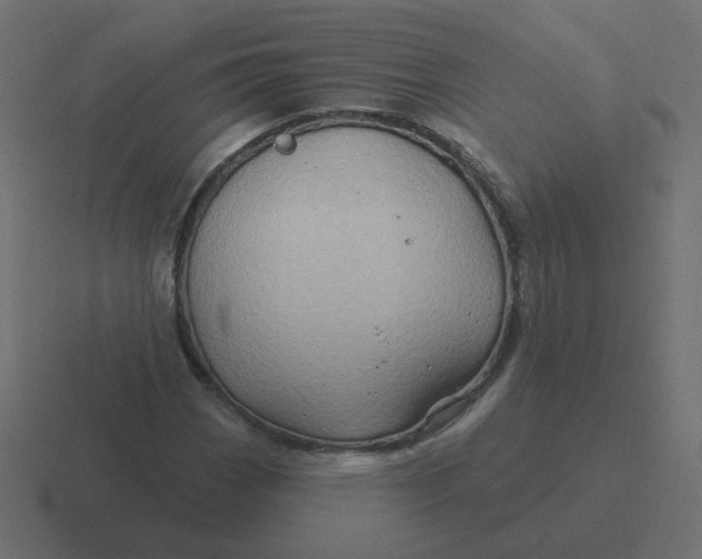 X0000116491113200912292100