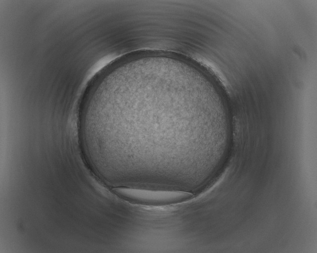 X0000116491114200912292100