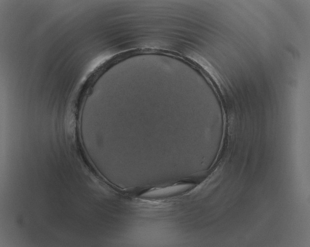 X0000116491115200912292100