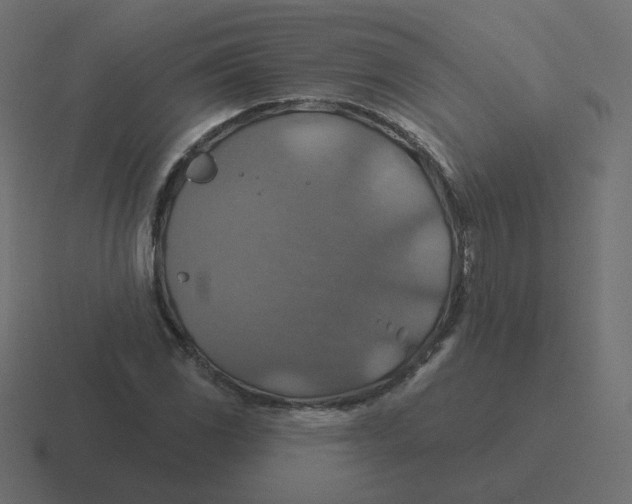 X0000116491117200912292100