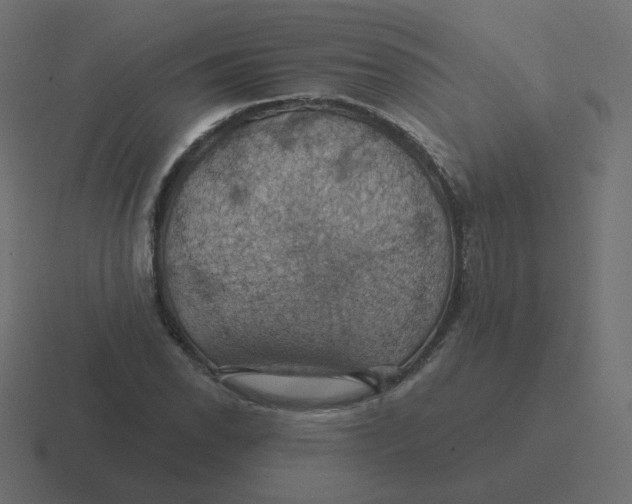 X0000116491118200912292100