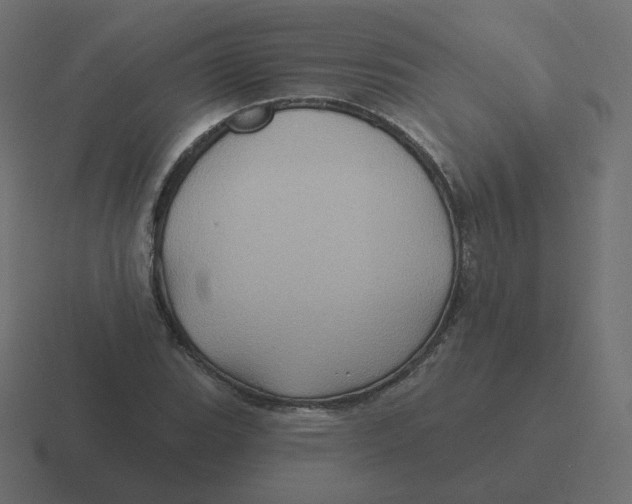 X0000116491119200912292100