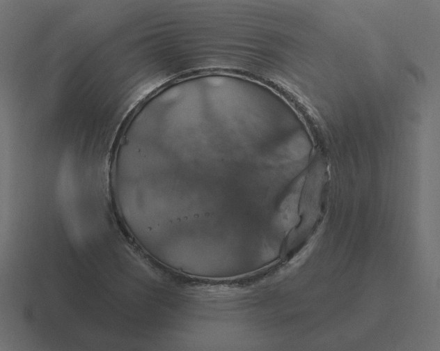 X0000116491121200912292100