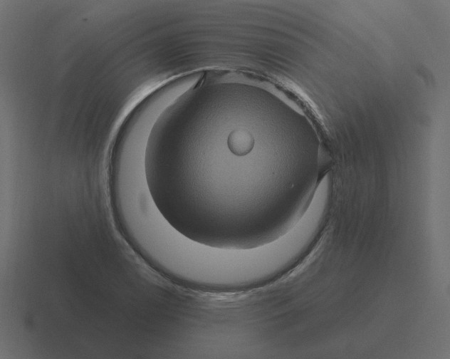 X0000116491122200912292100