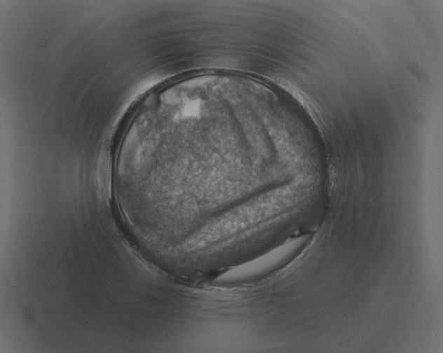 X0000116491123200912292100