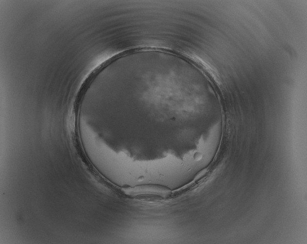 X0000116491125200912292100