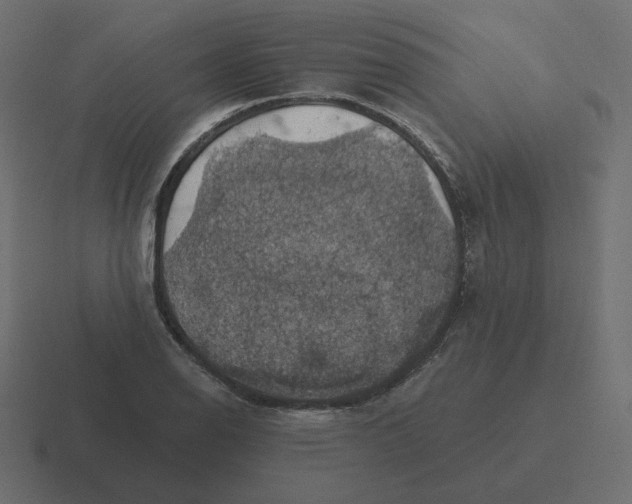 X0000116491126200912292100