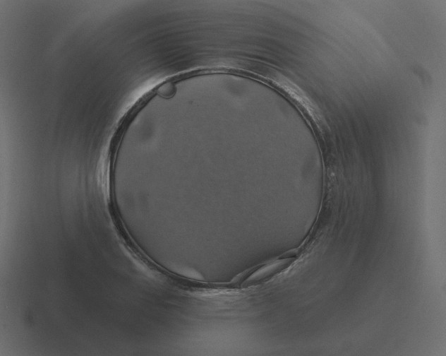 X0000116491127200912292100