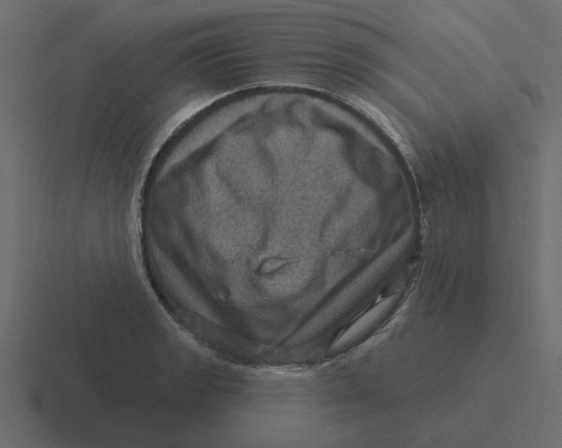 X0000116491133200912292100