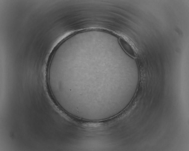 X0000116491134200912292100