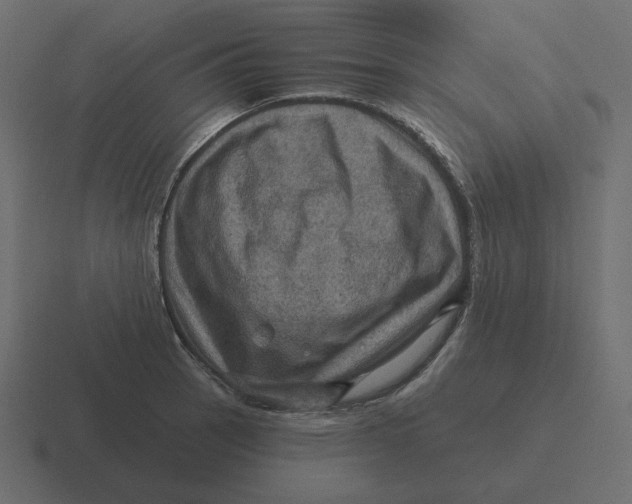 X0000116491137200912292100