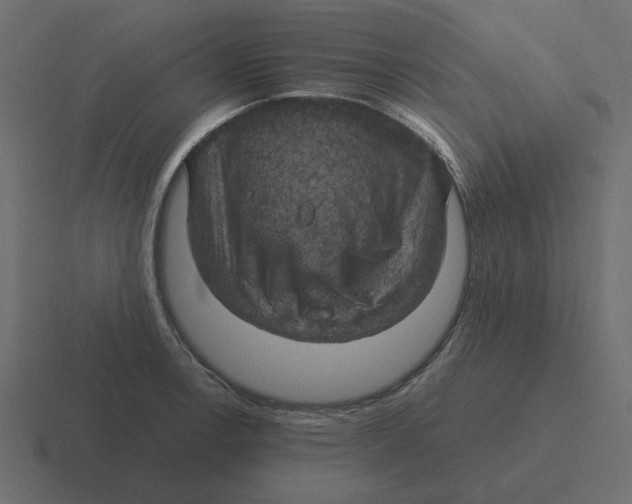 X0000116491138200912292100