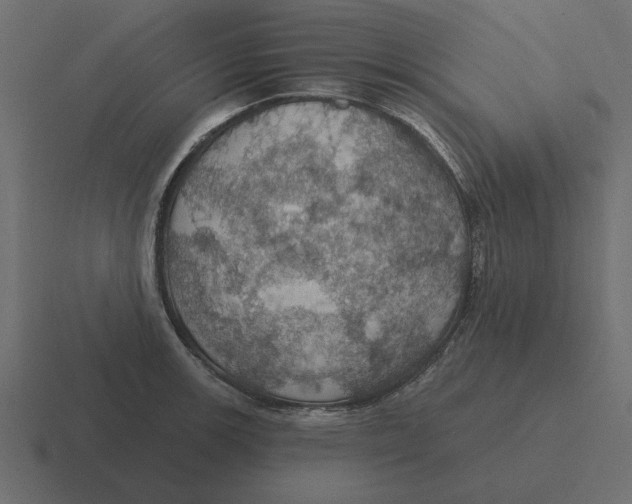 X0000116491139200912292100