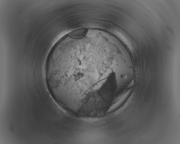 X0000116491141200912292100