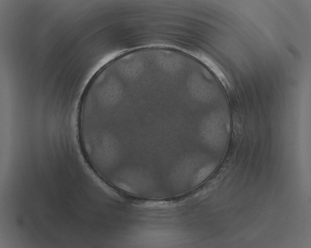 X0000116491142200912292100