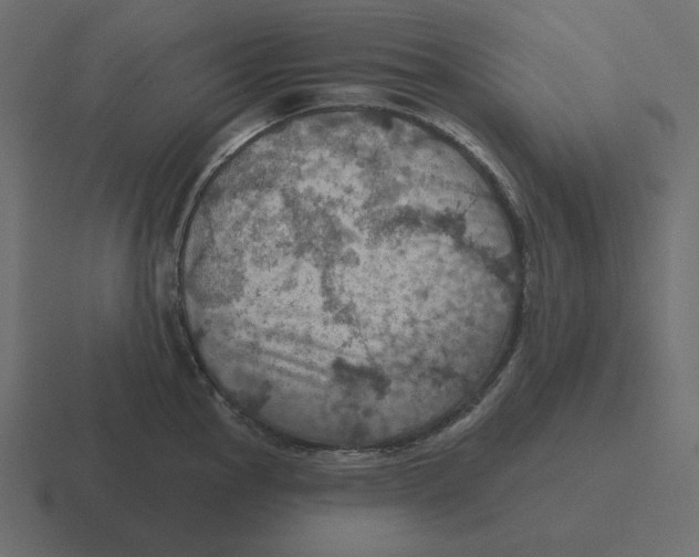 X0000116491145200912292100