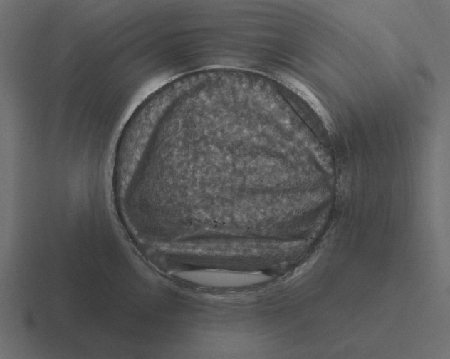 X0000116491146200912292100