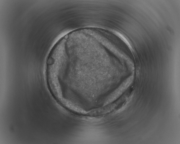 X0000116491149200912292100