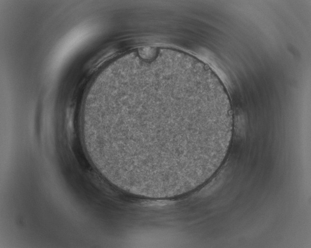 X0000116491150200912292100